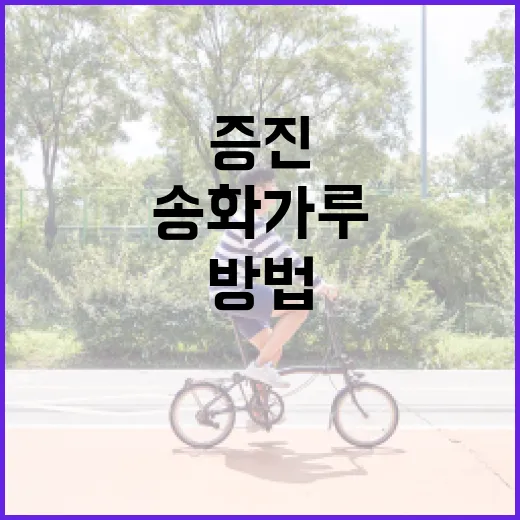 송화가루를 활용하여 건강을 증진하는 방법 - 요약