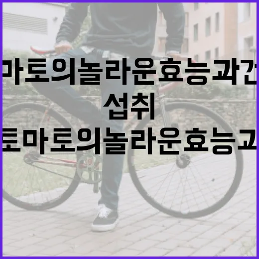 토마토의 놀라운 효능과 건강하게 섭취하는 방법 - 요약