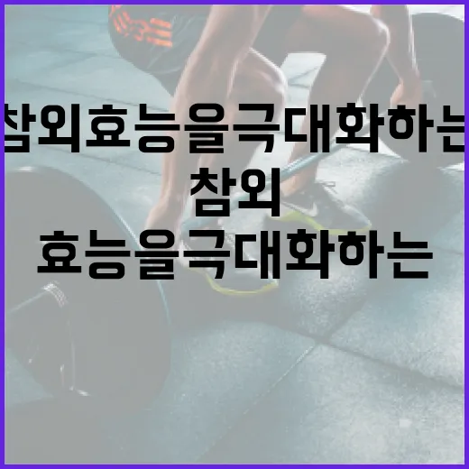 참외 효능을 극대화하는 방법 - 요약