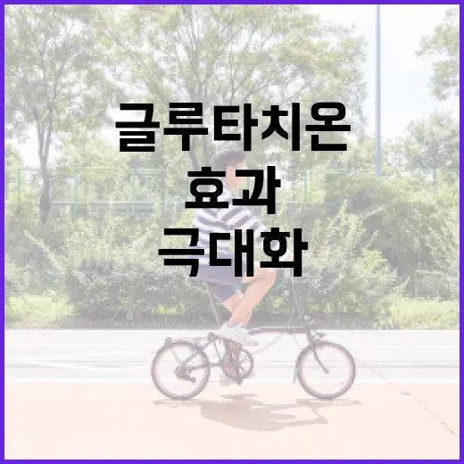 글루타치온 효과를 극대화하는 방법 - 요약