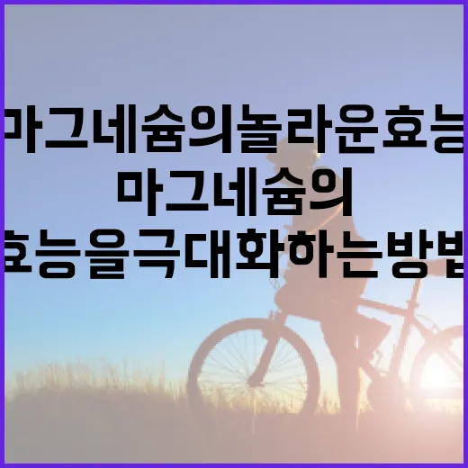 마그네슘의 놀라운 효능을 극대화하는 방법 - 요약