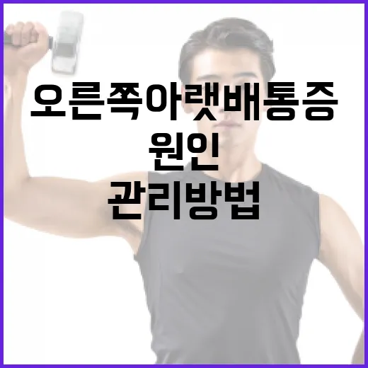 오른쪽 아랫배 통증의 원인과 관리 방법 - 요약