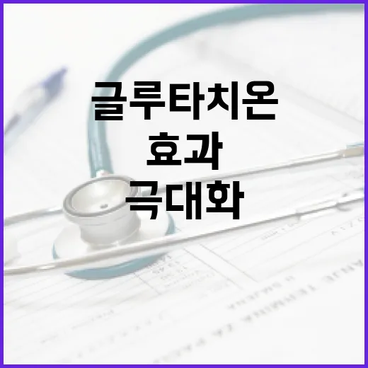 글루타치온 효과를 극대화하는 방법 - 요약