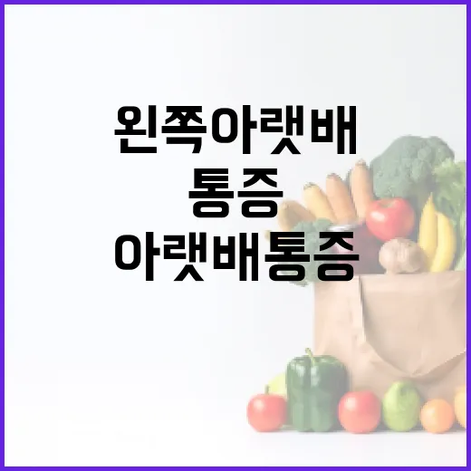 왼쪽 아랫배 통증을 극복하는 방법 - 요약