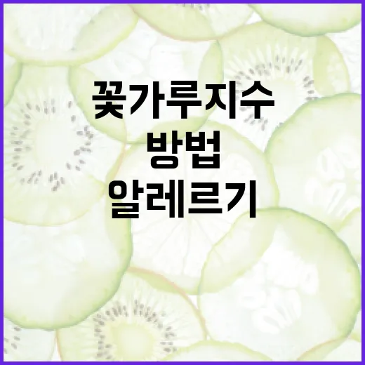 꽃가루지수를 이해하고 알레르기를 예방하는 방법 - 요약