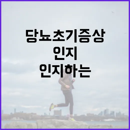 당뇨 초기증상을 인지하는 방법 - 요약