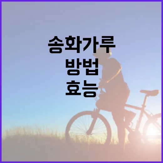 송화가루의 건강 효능과 활용 방법 - 요약