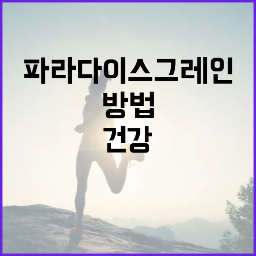 파라다이스그레인으로 건강을 증진하는 방법 - 요약
