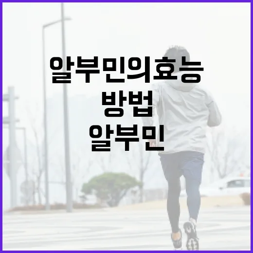 알부민의 효능을 극대화하는 방법 - 요약
