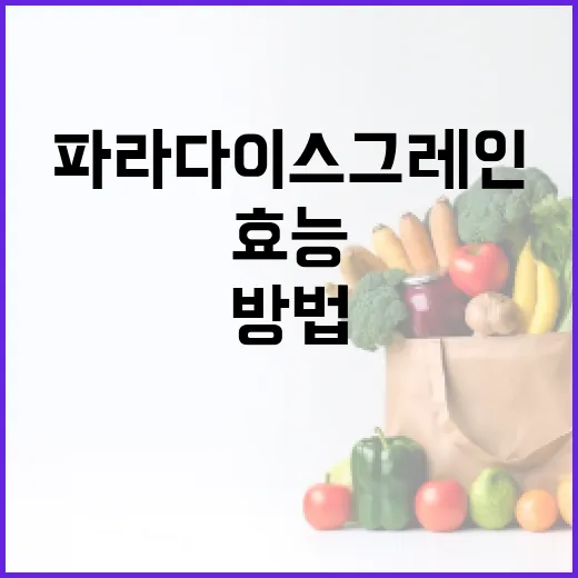 파라다이스 그레인의 효능을 극대화하는 방법 - 요약
