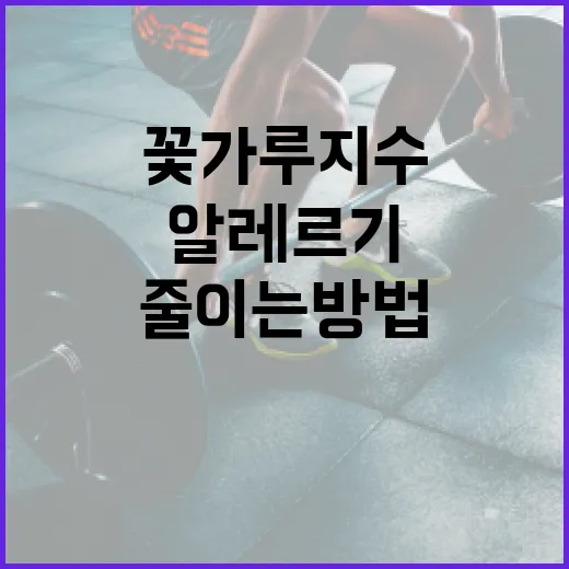 꽃가루지수를 이해하고 알레르기 증상을 줄이는 방법 - 요약