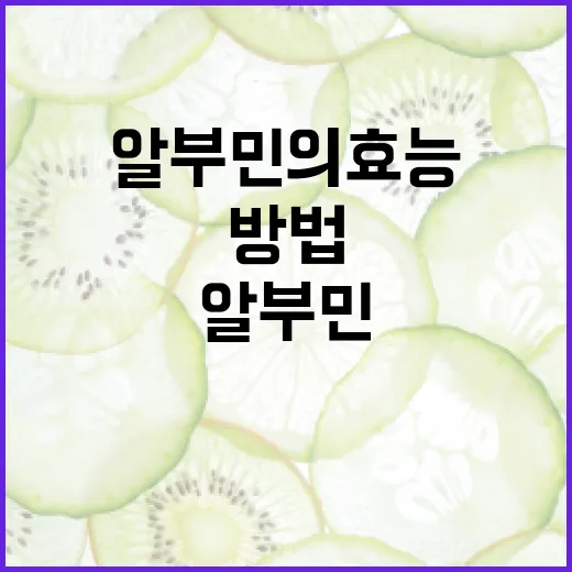 알부민의 효능을 극대화하는 방법 - 요약