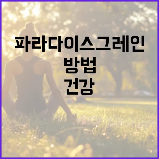 파라다이스그레인으로 건강을 증진하는 방법 - 요약