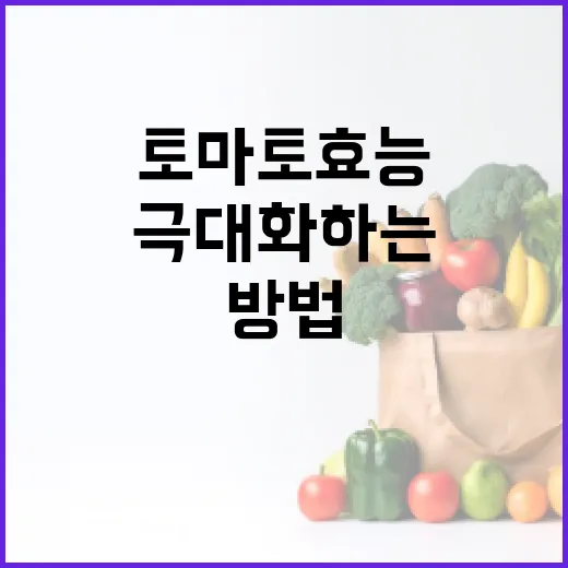 토마토 효능을 극대화하는 방법 - 요약