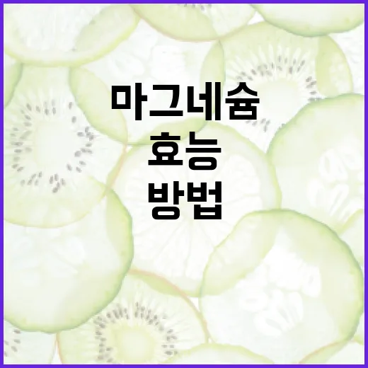 마그네슘의 효능과 건강 유지 방법 - 요약