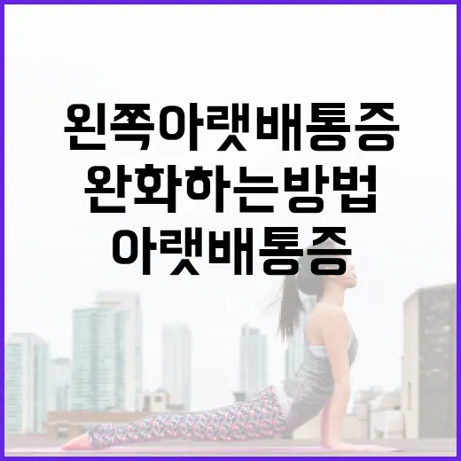 왼쪽 아랫배 통증을 완화하는 방법 - 요약
