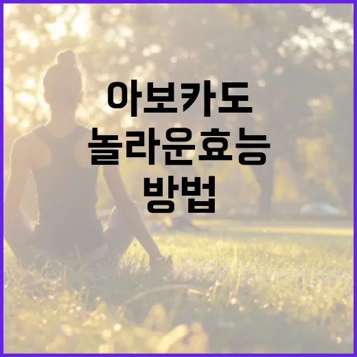 아보카도의 놀라운 효능을 극대화하는 방법 - 요약
