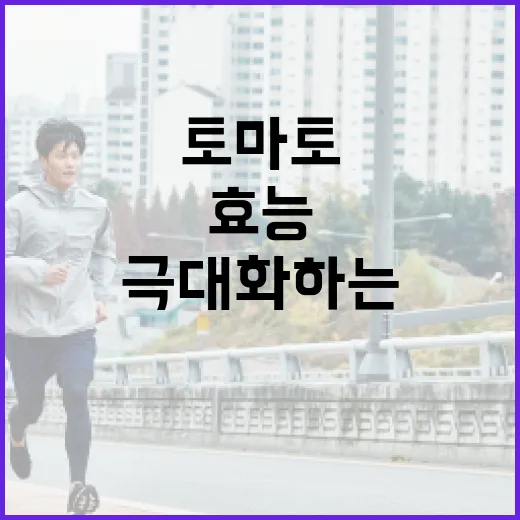 토마토의 건강 효능을 극대화하는 방법 - 요약