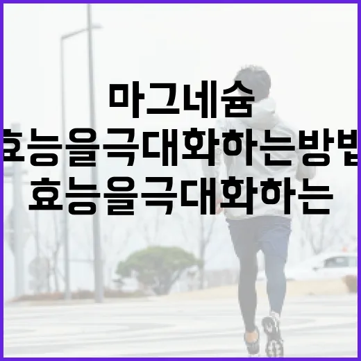 마그네슘 효능을 극대화하는 방법 - 요약