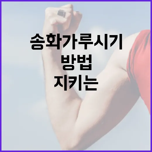 송화가루 시기에 건강을 지키는 방법 - 요약