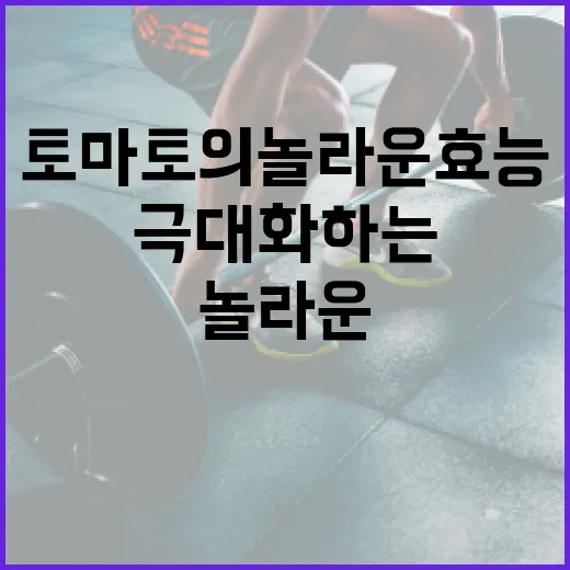 토마토의 놀라운 효능을 극대화하는 방법 - 요약
