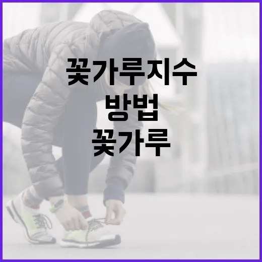 꽃가루지수를 이해하고 건강하게 지내는 방법 - 요약