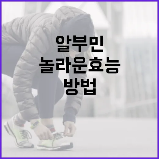 알부민의 놀라운 효능과 활용 방법 - 요약