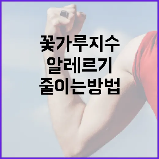 꽃가루지수를 이해하고 알레르기 증상을 줄이는 방법 - 요약