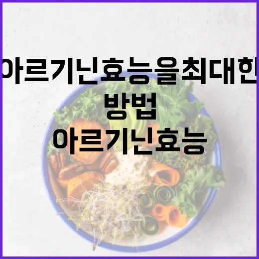 아르기닌 효능을 최대한 활용하는 방법 - 요약