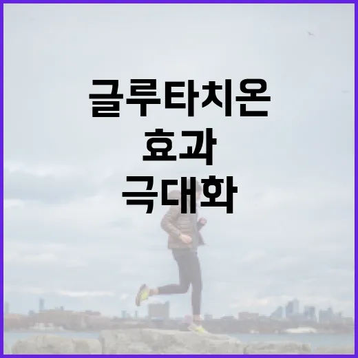 글루타치온 효과를 극대화하는 방법 - 요약