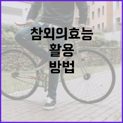 참외의 효능을 최대한 활용하는 방법 - 요약