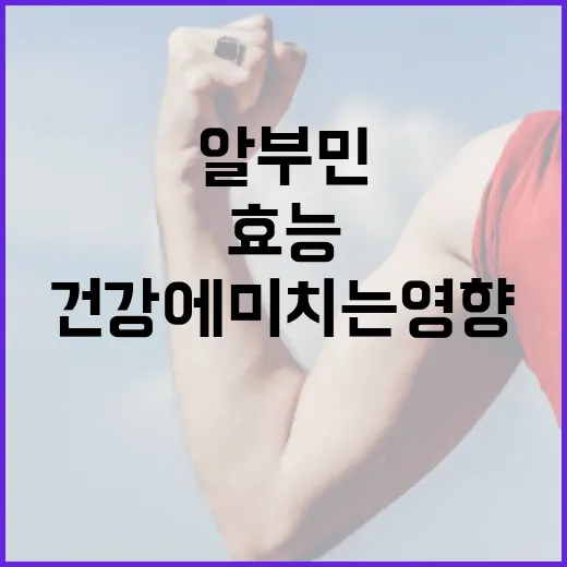 알부민의 효능과 건강에 미치는 영향 이해하기 - 요약