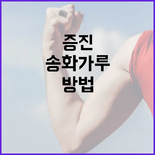 송화가루로 건강을 증진하는 방법 - 요약
