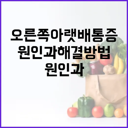 오른쪽 아랫배 통증의 원인과 해결 방법 - 요약