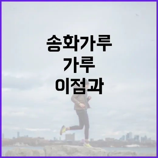 송화가루의 건강상 이점과 활용 방법 - 요약