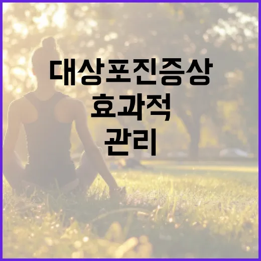 대상포진 증상을 효과적으로 관리하는 방법 - 요약