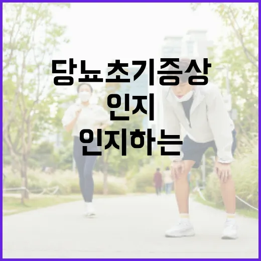 당뇨 초기증상을 인지하는 방법 - 요약