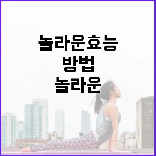 마그네슘의 놀라운 효능을 이해하고 활용하는 방법 - 요약