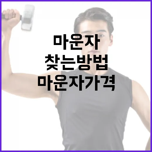 최적의 마운자 가격을 찾는 방법 - 요약