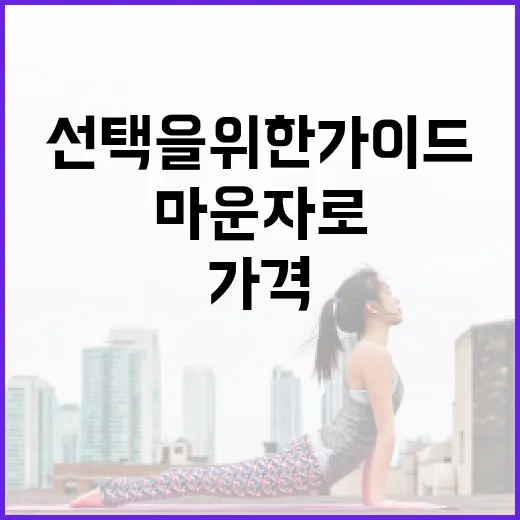 마운자로 가격 이해하기: 합리적인 선택을 위한 가이드 - 요약