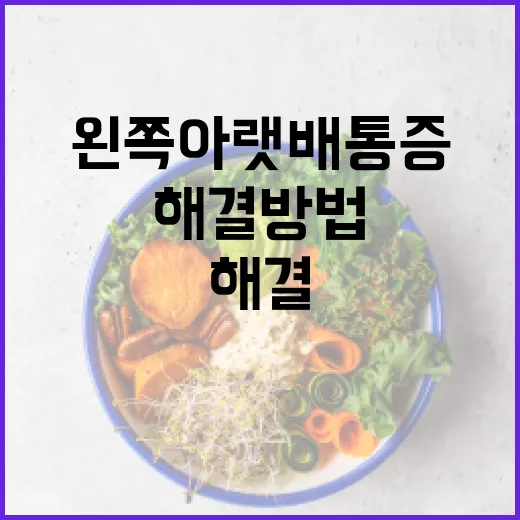 왼쪽 아랫배 통증 해결 방법 - 요약