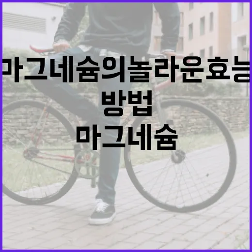 마그네슘의 놀라운 효능을 최대로 활용하는 방법 - 요약
