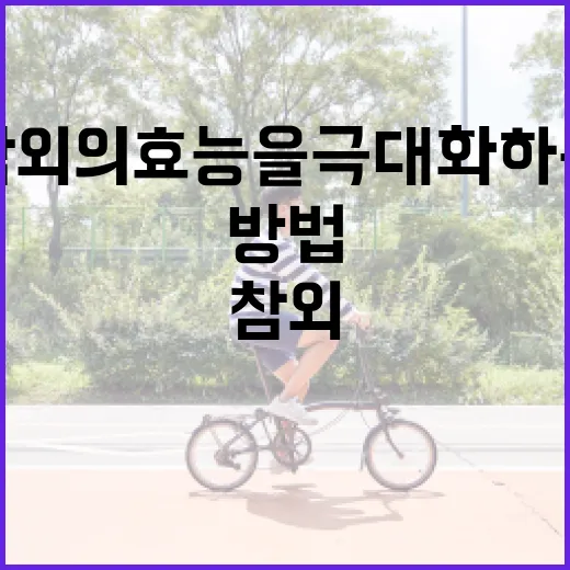 참외의 효능을 극대화하는 방법 - 요약