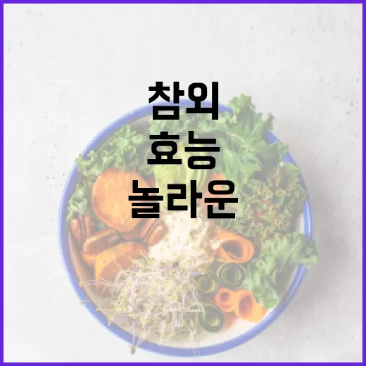 참외의 놀라운 건강 효능을 알아보는 방법 - 요약