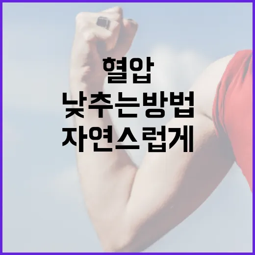 자연스럽게 혈압을 낮추는 방법 - 요약