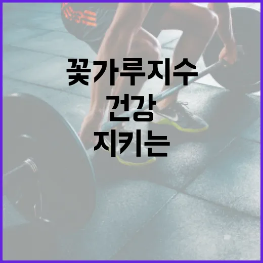 꽃가루지수를 이해하고 건강을 지키는 방법 - 요약