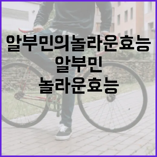 알부민의 놀라운 효능을 이해하고 활용하는 방법 - 요약