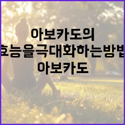 아보카도의 건강 효능을 극대화하는 방법 - 요약