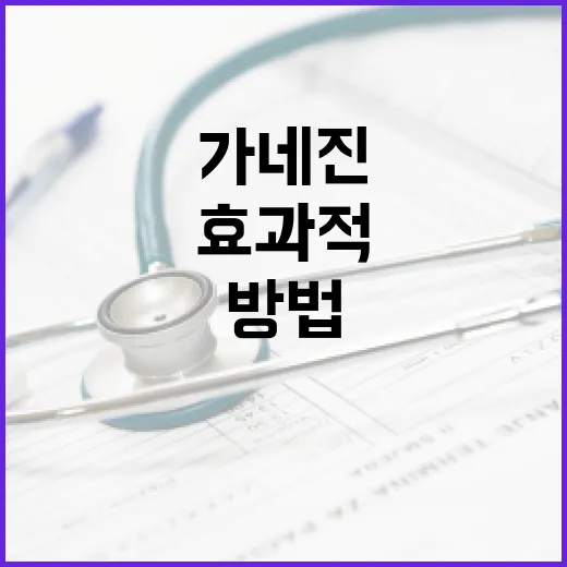 가네진 효과적으로 활용하는 방법 - 요약