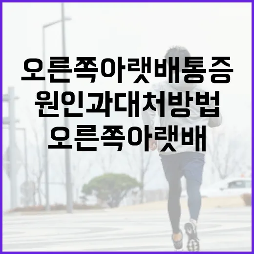 오른쪽 아랫배 통증의 원인과 대처 방법 - 요약